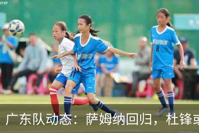 广东队动态：萨姆纳回归，杜锋或将出任国家队主教练？